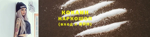 сатива Дмитриев