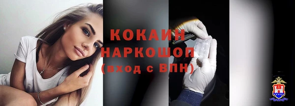 сатива Дмитриев