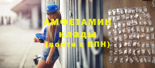 сатива Дмитриев